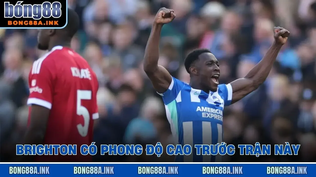 Brighton có phong độ cao trước trận này