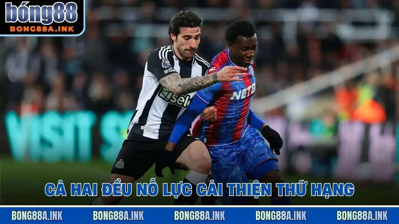 Cả hai đều nỗ lực cải thiện thứ hạng