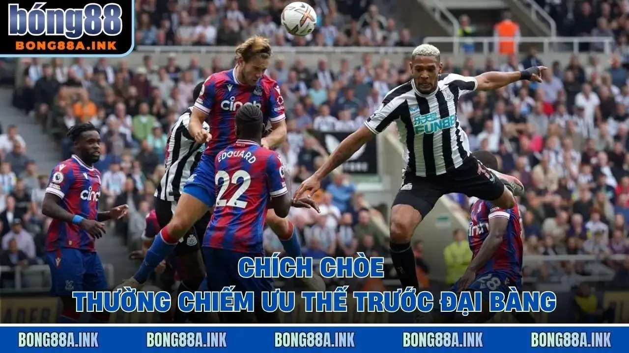 “Chích Chòe” thường chiếm ưu thế trước “Đại Bàng”