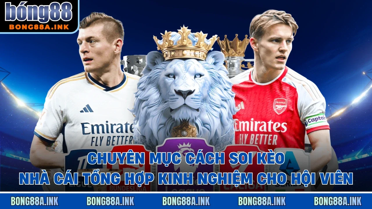 Chuyên mục cách soi kèo nhà cái tổng hợp kinh nghiệm cho hội viên