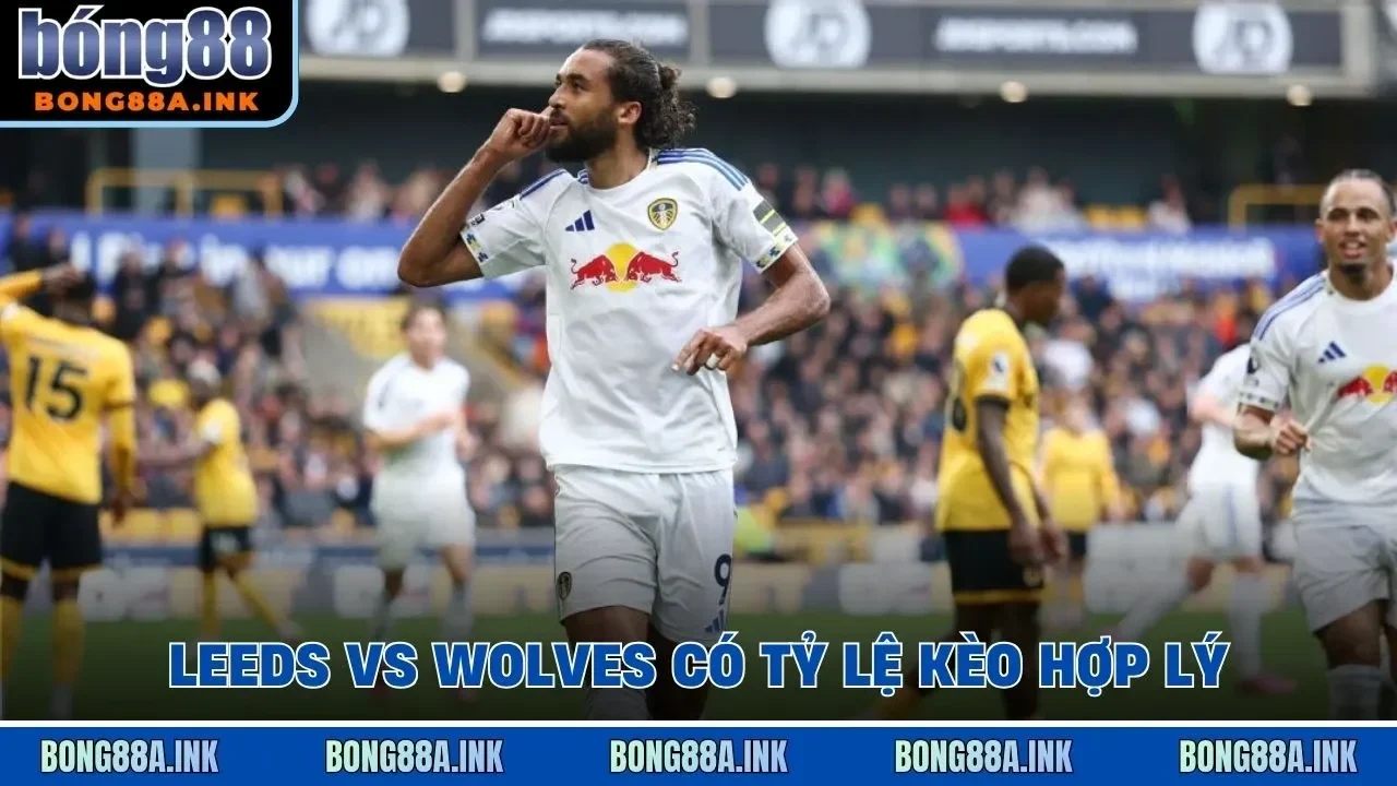 Leeds vs Wolves có tỷ lệ kèo hợp lý