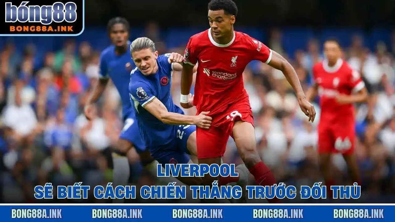 Liverpool sẽ biết cách chiến thắng trước đối thủ