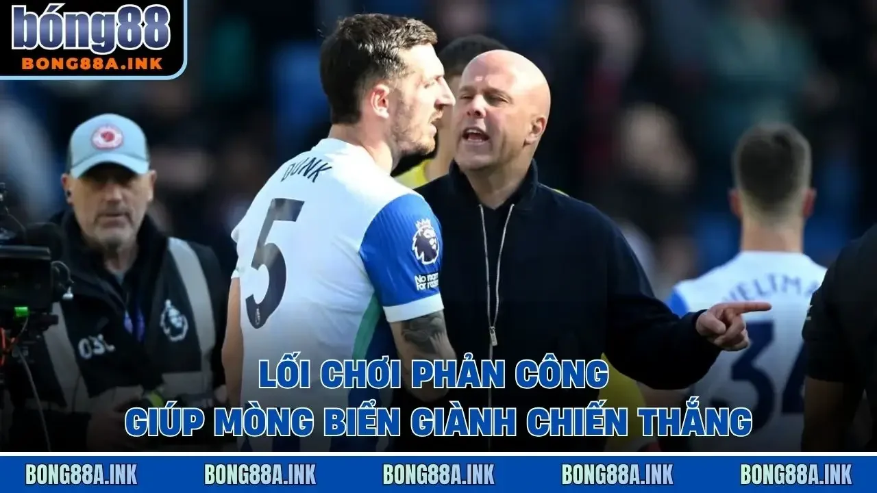 Lối chơi phản công giúp Mòng Biển giành chiến thắng