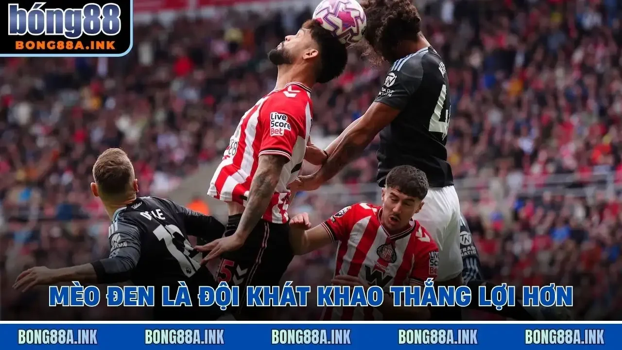 Mèo Đen là đội khát khao thắng lợi hơn