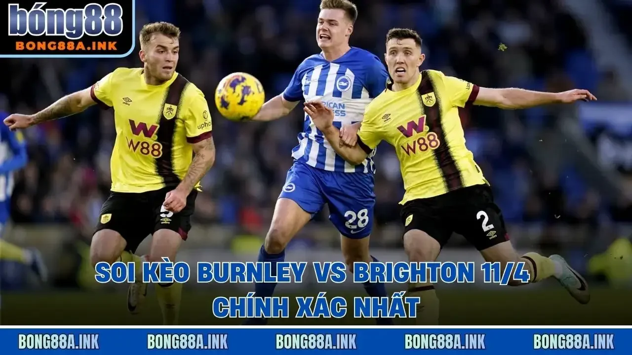 Soi kèo Burnley vs Brighton 11/4 chính xác nhất