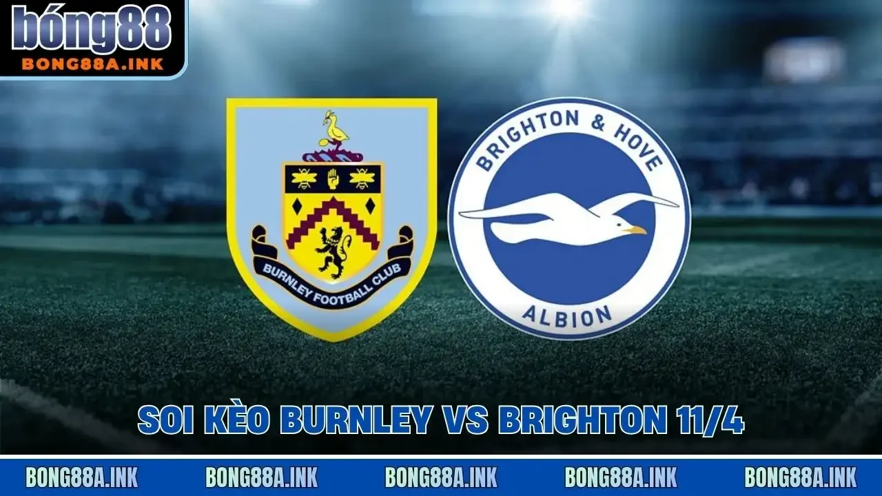soi kèo Burnley vs Brighton 11/4