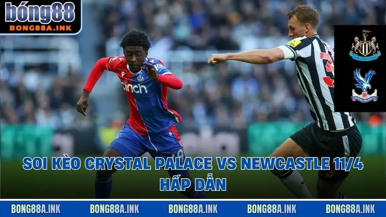 Soi kèo Crystal Palace vs Newcastle 11/4 hấp dẫn