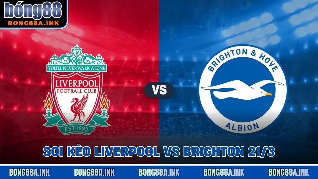 soi kèo Liverpool vs Brighton 21/3
