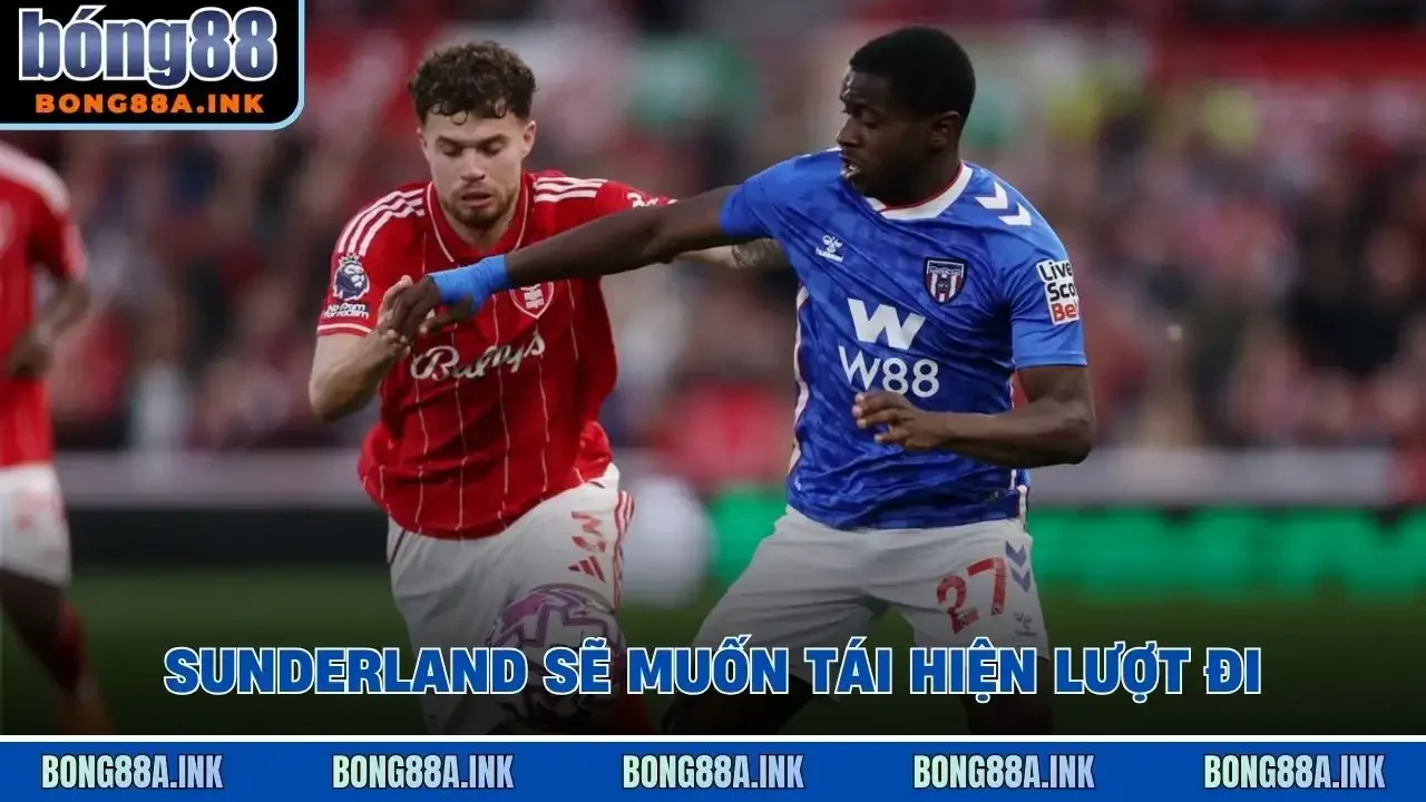 Sunderland sẽ muốn tái hiện lượt đi