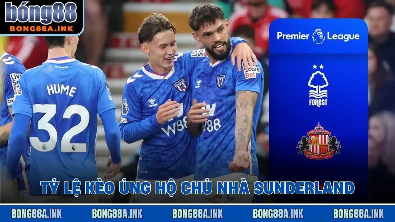 Tỷ lệ kèo ủng hộ chủ nhà Sunderland